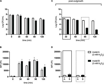 Use of Transposon Directed Insertion-Site Sequencing to Probe the Antibacterial Mechanism of a Model Honey on E. coli K-12